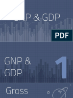 GDP and GNP Reporting