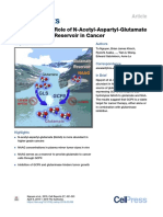 Uncovering The Role of N-Acetyl-Aspartyl-Glutamate As A Glutamate Reservoir in Cancer