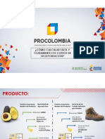 Presentacion Costos Exportacion PDF