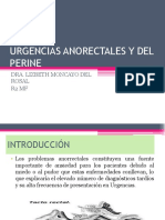 urgencias-anorectales-y-del-perine.pptx