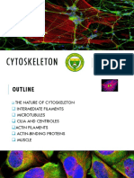Cytoskeleton: Jetro P. Magnayon