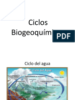 Ciclos Biogeoquímicos