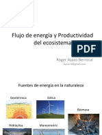 Flujo de Energía y Productividad Del Ecosistema