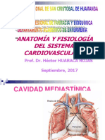 Anatomía y Fisiología Del Corazón