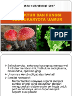 Kuliah 4 - Struktur Dan Fungsi Sel Eukaryota Dan Jamur PDF