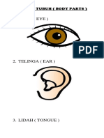 Mata (Eye) : Bagian Tubuh (Body Parts)