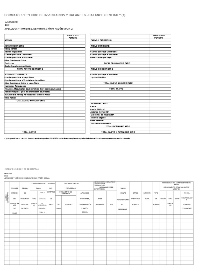Formatos Modificados Sunat Activo fijo Contabilidad