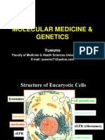 Molecular Medicine & Genetics: Yuwono