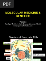 Molecular Medicine & Genetics: Yuwono