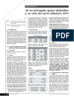 Gastos Sujetos A Límite PDF