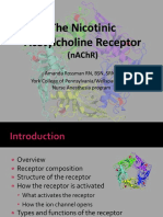 The Nicotinic Acetylcholine PDF