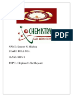 XII Student Saurav Mishra's Chemistry Project on Elephant's Toothpaste