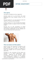 NDPS Act Quantity Chart Overview | PDF
