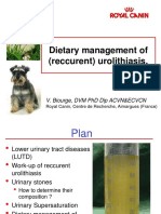 Dietary Management of (Reccurent) Urolithiasis.: V. Biourge, DVM PHD Dip Acvn&Ecvcn