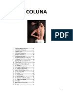 Coluna vertebral: principais patologias