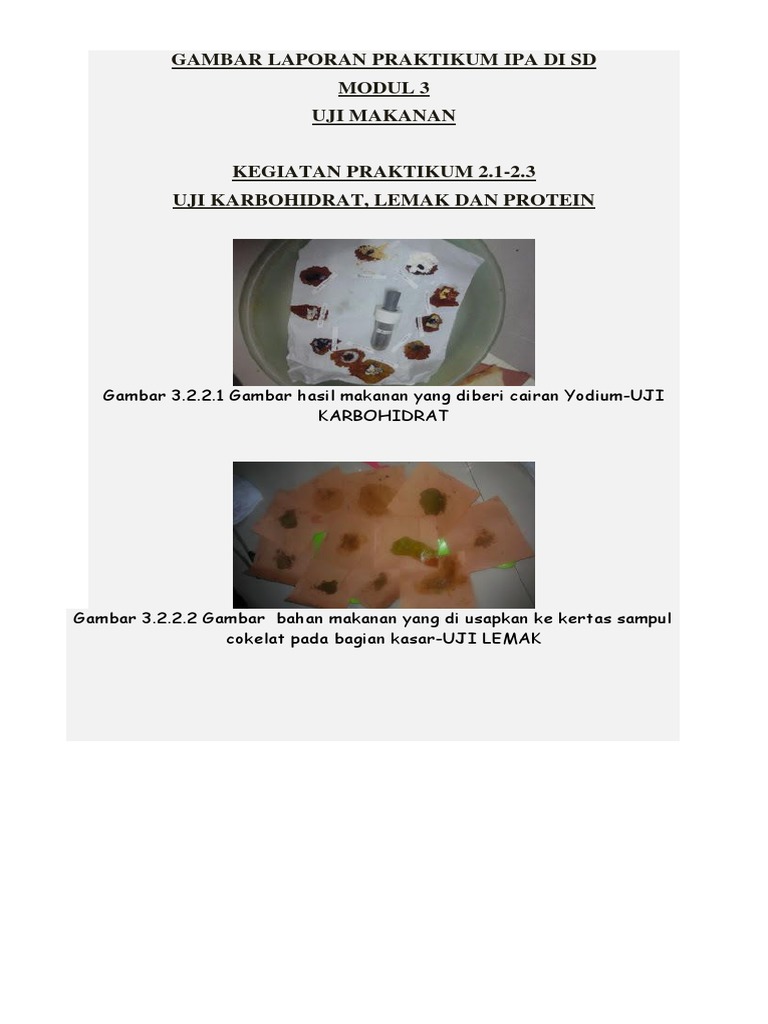 Gambar Laporan Hasil Praktikum Ipa Dasar Di Sd Uji Makanan