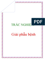 Trac Nghiem GPB