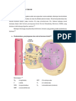 Kelenjar Tiroid