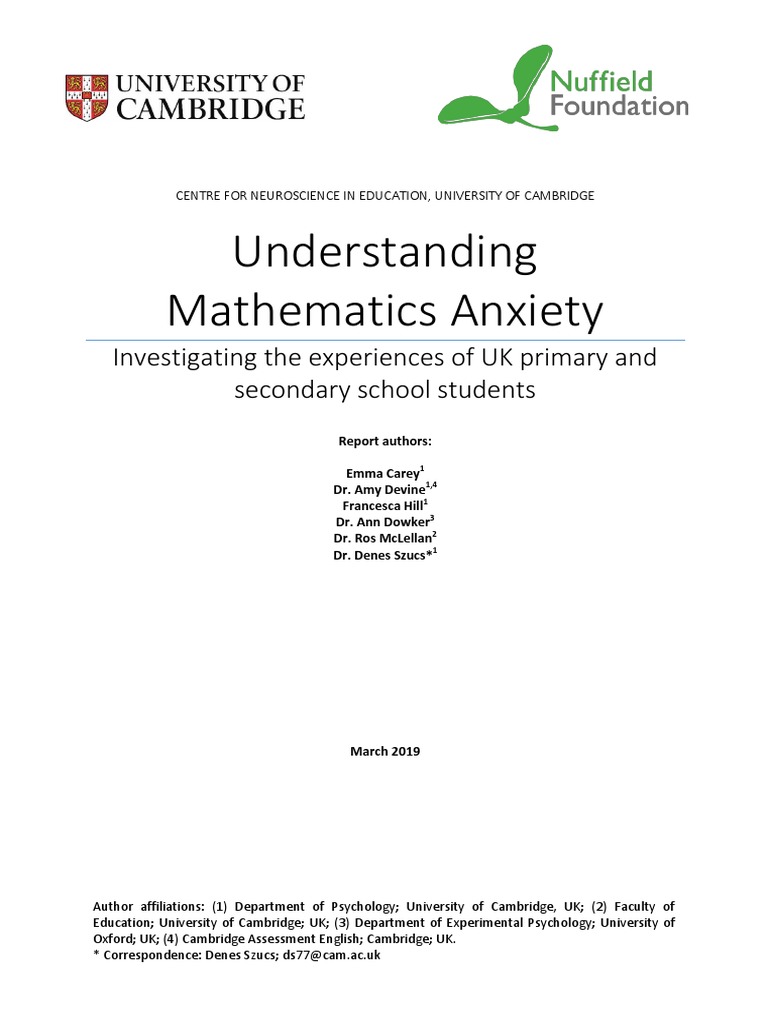 Understanding Maths | PDF | Anxiety | Working Memory