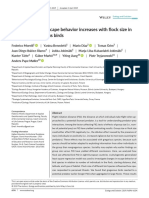 Contagious Fear: Escape Behavior Increases With Flock Size in European Gregarious Birds