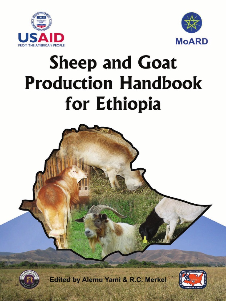 Sheep and Goat Production Hand Book For ETHIOPIA | PDF | Sheep | Goat