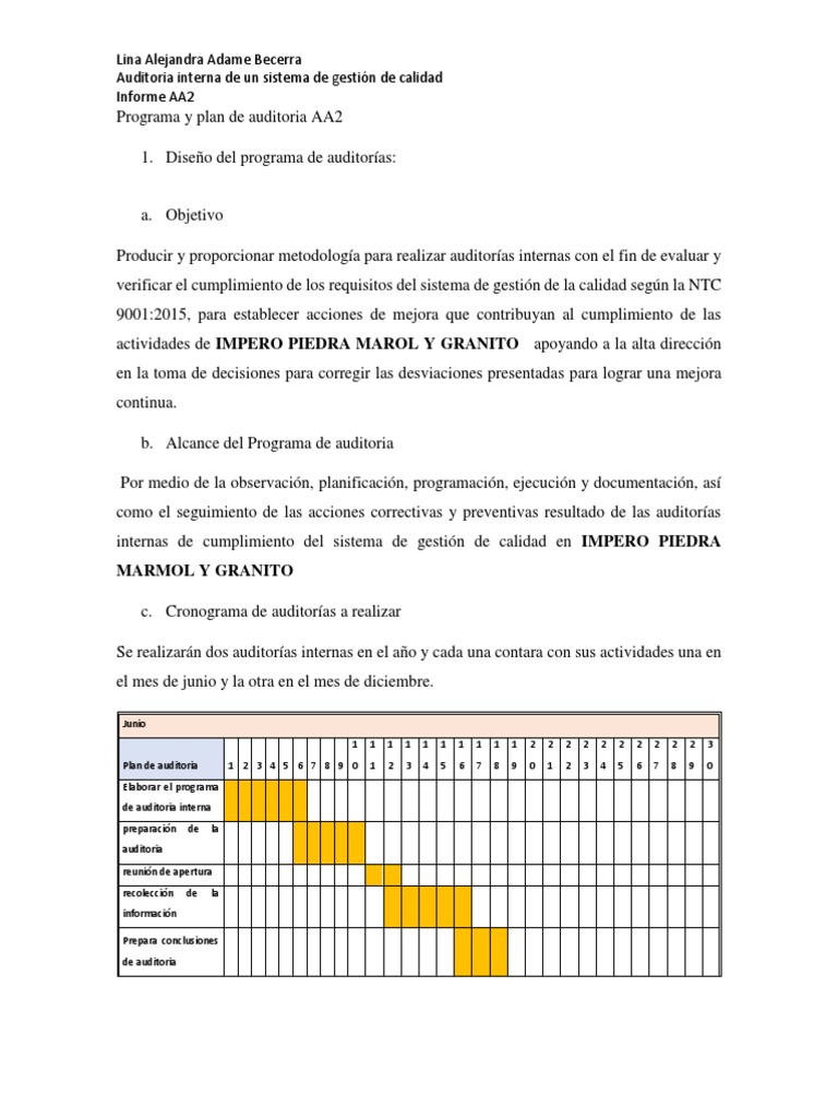 Programa y Plan de Auditoria AA2 | PDF | Auditoría | Planificación