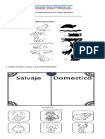 Acumulativa Semana 3