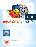 Neuroplasticity - The Moldable Brain