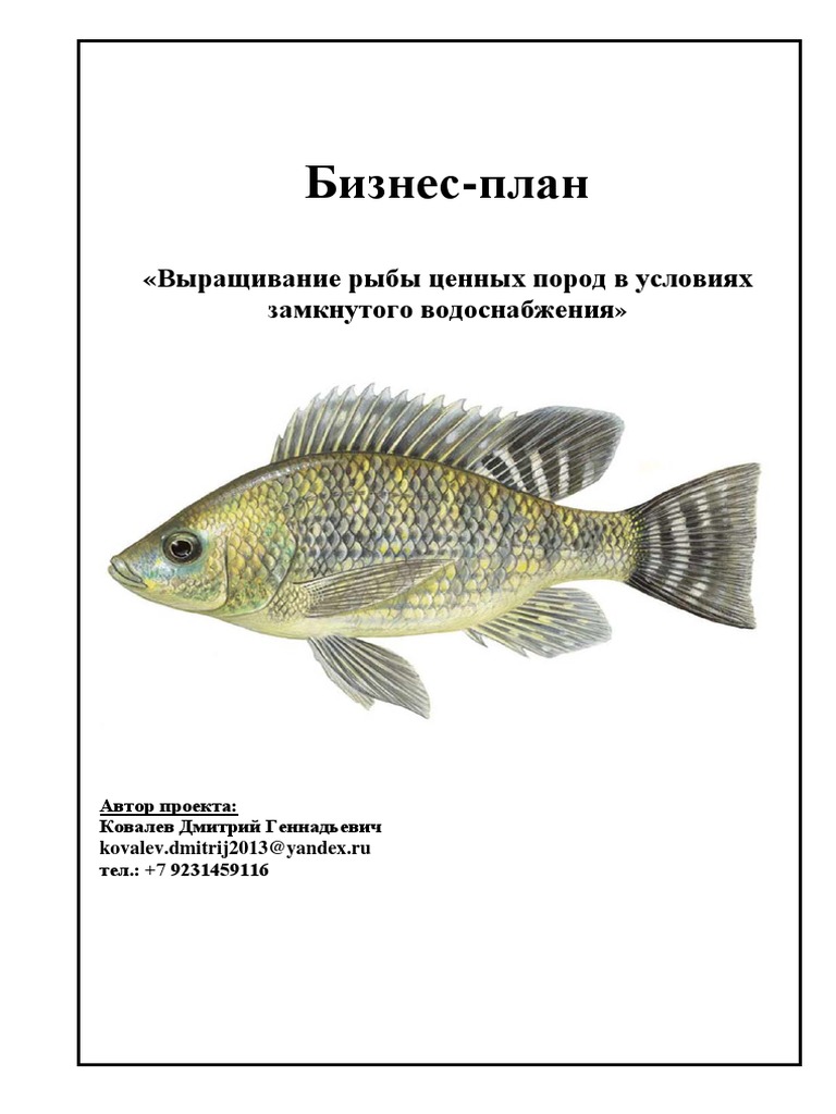 Тиляпия В УЗВ PDF | PDF