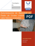 Determinacion Basicidad PDF