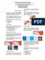 Guía Fecundación y Embarazo