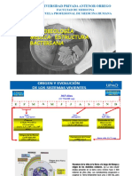 2.estrucctura Bacteriana