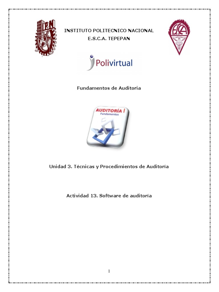 Tecnicas y Procedimientos de Auditoria | PDF | Auditoría | Contralor