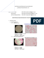 Identifikasi Bakteri Batang Gram Negatif