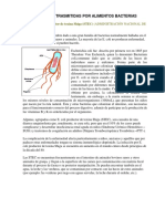 Enfermedades Trasmitidas Por Alimentos Bacterias