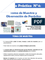 Muestra de Paracitos