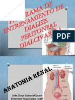 Anatomia Renal