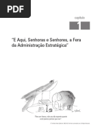 Capítulo 1 safari de estratégia