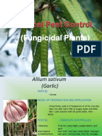 Fungicidal Plants