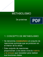 Metabolismo de Proteínas