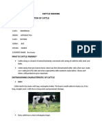 Cattle Raising Taxonomy Classification of Cattle