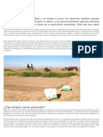 Agricultura en El Desierto