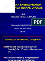 Imbangan Energi Protein