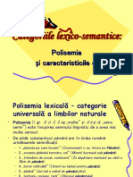 POLISEMIA Si Tipurile Ei