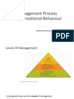 Management Process &organizational Behaviour