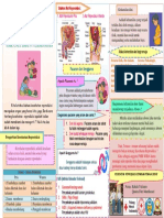 PRS (Kesehatan Reproduksi) PDF