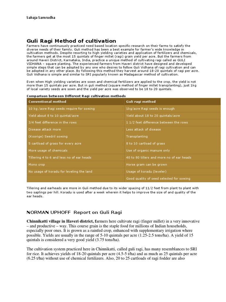 Guli Ragi Cultivation in Karnataka | PDF | Sowing | Agriculture