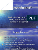 What Is A Sonnet?: Understanding The Forms, Meter, Rhyme, and Other Aspects of The Sonnet