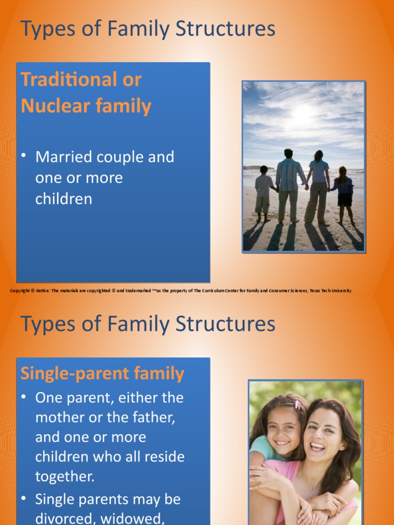 Types of Family Structures | PDF | Single Parent | Family