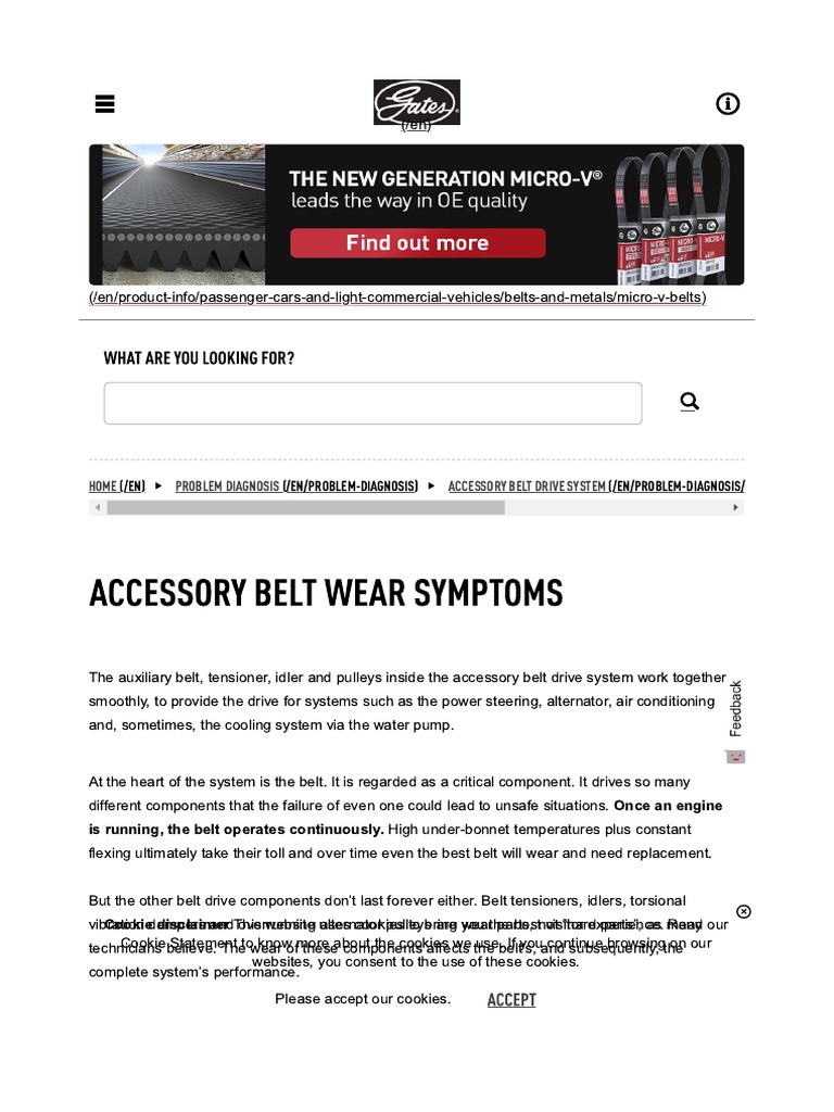 Diagnosing Drive Belt Wear PDF Entertainment (General)